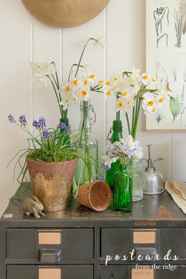 Garden-inspired decor. Love all of these easy ways to add some garden-inspired decor to your home! #homedecor #gardendecor #cottagedecor #vintagedecor glass bottles and terra cotta pots as garden decor